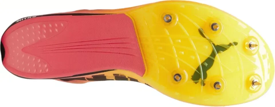 Puma Evospeed Distance Nitro Elite+ 2: review suela