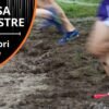 Le migliori scarpe per il Cross e Corsa Campestre